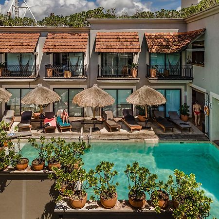 Caribbean Paradise Hotel & Spa - 5Th Avenue Playa del Carmen Dış mekan fotoğraf