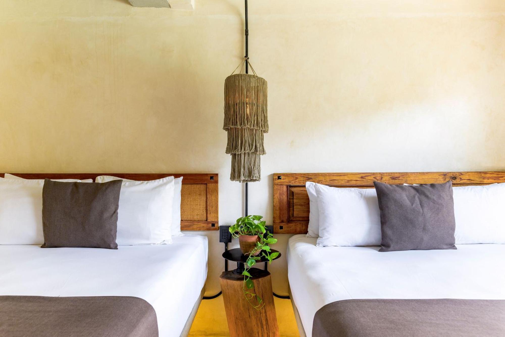 Caribbean Paradise Hotel & Spa - 5Th Avenue Playa del Carmen Dış mekan fotoğraf