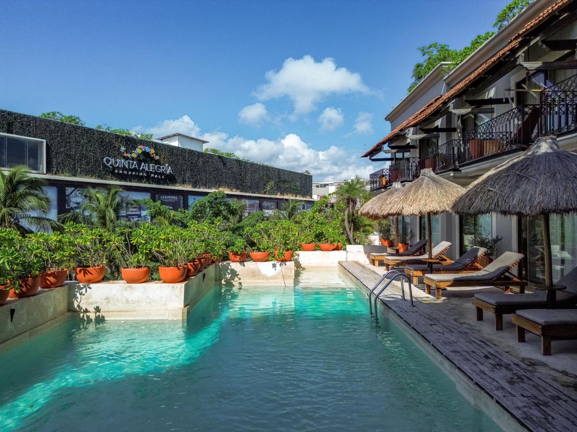 Caribbean Paradise Hotel & Spa - 5Th Avenue Playa del Carmen Dış mekan fotoğraf